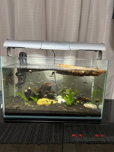 水槽セット