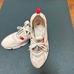 NIKE AIR MAX INFINITY の画像