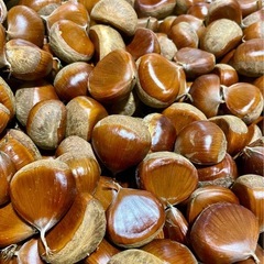 タイムセール❗️小布施栗🌰家庭用500gの画像