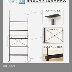 ニトリ　Nポルダ　40cmの画像