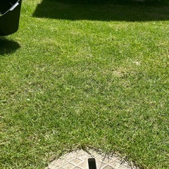 【芝刈り　1,000円〜】芝刈りお手伝いします。今年の刈納…