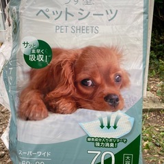 うす型ペットシート　スーパーワイドの画像