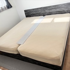 ボックスシーツ　ストレッチ Nフィットシーツ　ニトリ　シングル　　1セットの画像