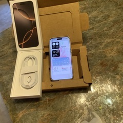 【美品】iPhone16ProMax 256GB 9カ月使用加入 AppleCare加入の画像