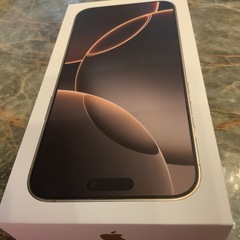 【美品】iPhone16ProMax 256GB 9カ月使用加入 AppleCare加入の画像