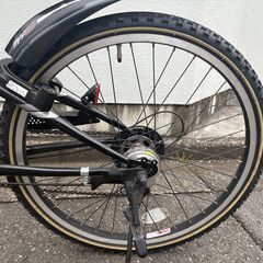 ブリヂストン BRIDGESTONE クロスファイヤージュニア 　点灯虫モデル  24型 の画像