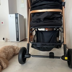 ほぼ新品のペット用カートの画像