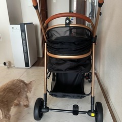 ほぼ新品のペット用カートの画像