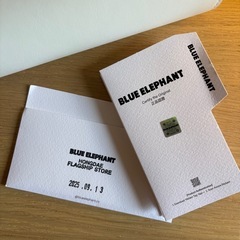 新品Blue Elephant サングラス限定品の画像