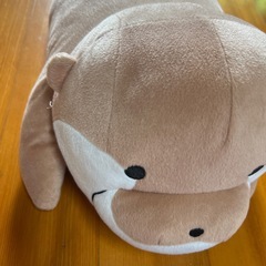 コツメカワウソぬいぐるみの画像
