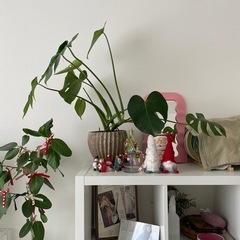 IKEA KALLAX カラックス(汚れあり)の画像