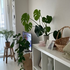 IKEA KALLAX カラックス(汚れあり)の画像