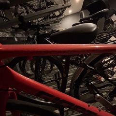 GIANT Escape R3の画像