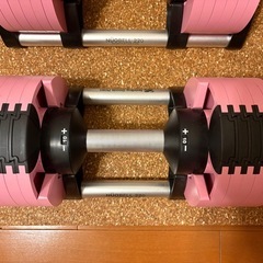 NUOBELL 可変式ダンベル ピンク 美品　20kg×2 2kg刻み フレックスベルの画像