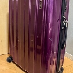 海外旅行サイズ キャリーケースの画像