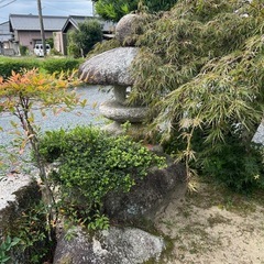 灯篭　　とうろう　　庭石の画像