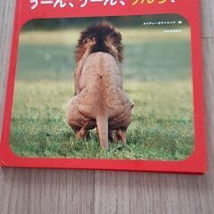 動物絵本の画像