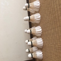 バドミントンシャトルの画像