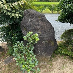 庭石の画像
