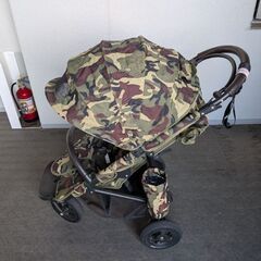 エアバギーの画像