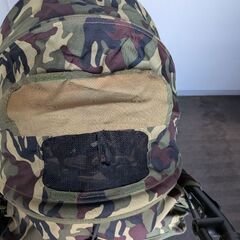 エアバギーの画像