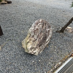 庭石の画像