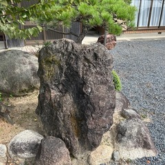 庭石の画像