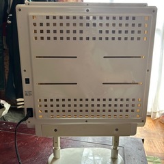 バードヒーター壁掛け60Wの画像