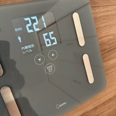 ドリテック BS-248DG 体重・体脂肪計「ドクタースキャン」ダークグレーの画像