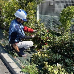 【求人募集】本庄市の植木屋です。未経験者歓迎/経験者即戦力として働けます。縛られて働くのが嫌な方にぴったりです。月収38万円実績ありの画像