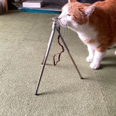 ミニ三脚の画像