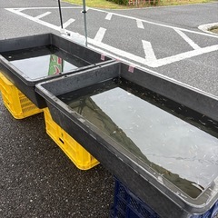 佐世保市早岐ヒューマン✖️ヨカトコ秋祭り