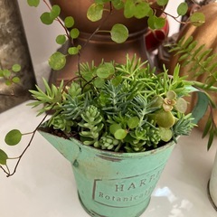 アンティーク缶付きワイヤープランツ、シダ，セダム寄せ植え２個セットの画像