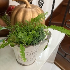 アンティーク缶付きワイヤープランツ、シダ，セダム寄せ植え２個セットの画像