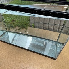 60水槽の画像