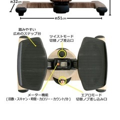 オアシス ステッパーの画像