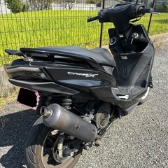 シグナス 4型　シグナスXの画像