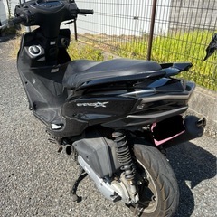 シグナス 4型　シグナスXの画像