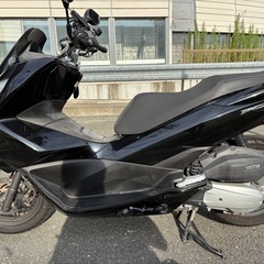 ホンダ バイクPCX JF56の画像