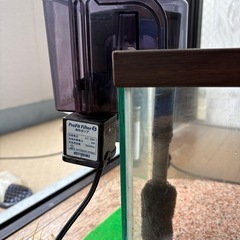 熱帯魚🐠水槽セットの画像