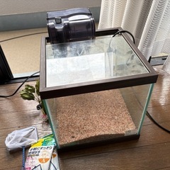熱帯魚🐠水槽セットの画像