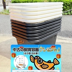 本日（28日）です！メダカ販売＆ダブルプレゼント企画同時開催！の画像