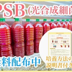 本日（28日）です！メダカ販売＆ダブルプレゼント企画同時開催！の画像