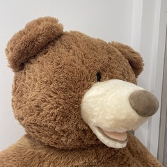 コストコくまさんの画像