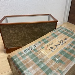 雛人形の画像