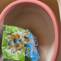 猫トイレ、犬雄用オムツの画像