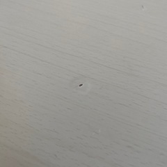 【ニトリ】こたつテーブルの画像
