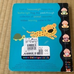 英語の本の画像