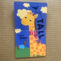 英語の本の画像