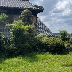 庭木の剪定(松２本、その他) − 愛知県